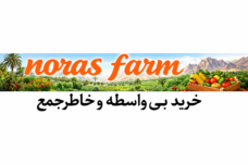 فروش خشکبار